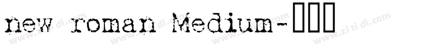 new roman Medium字体转换
